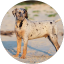 JustBrowsing profile picture